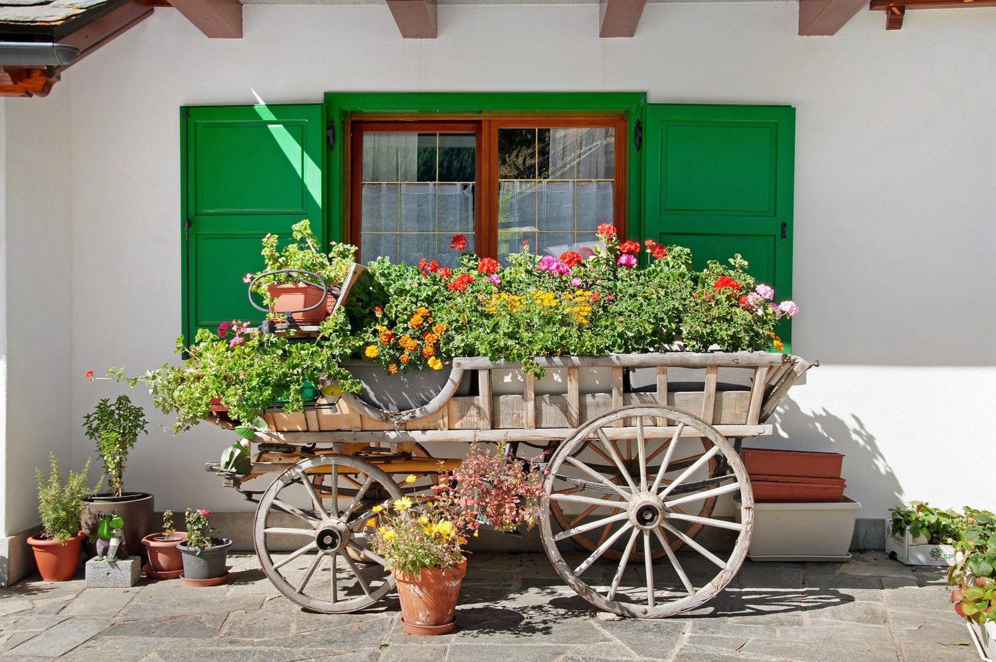 Ginepro Casa Vacanze Madesimo Exterior foto